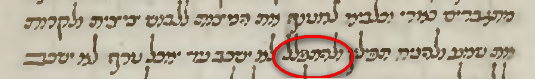 כתב יד.png