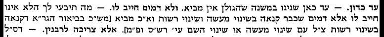 הגר''א על הירושלמי ביכורים פ''א ה''ב.jpg