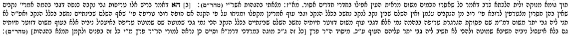 חידושי אנשי שם חולין רמז תריג אות ב - מהדו' עוז והדר.jpg