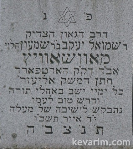 shmuel-yaakov-mowshowitz.jpg
