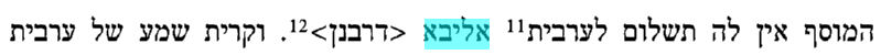 אהב''ש.png