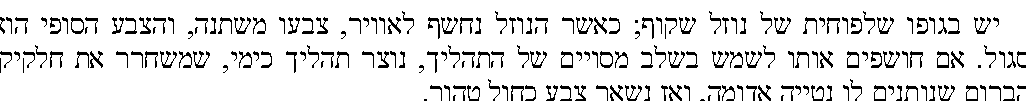 רק בשלב מסוים של התהליך - שחור על גבי לבן.png