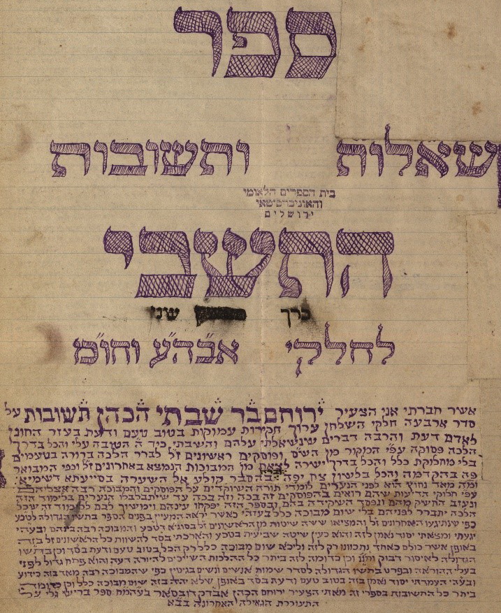 שו''ת התשב''י.jpg