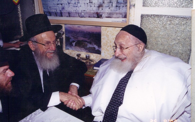 הרב שיינברג והרב אידלשטיין.JPG