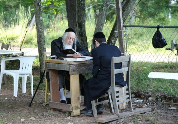 צאנז-זוויעהל-בלימוד-בקאונטרי.jpg