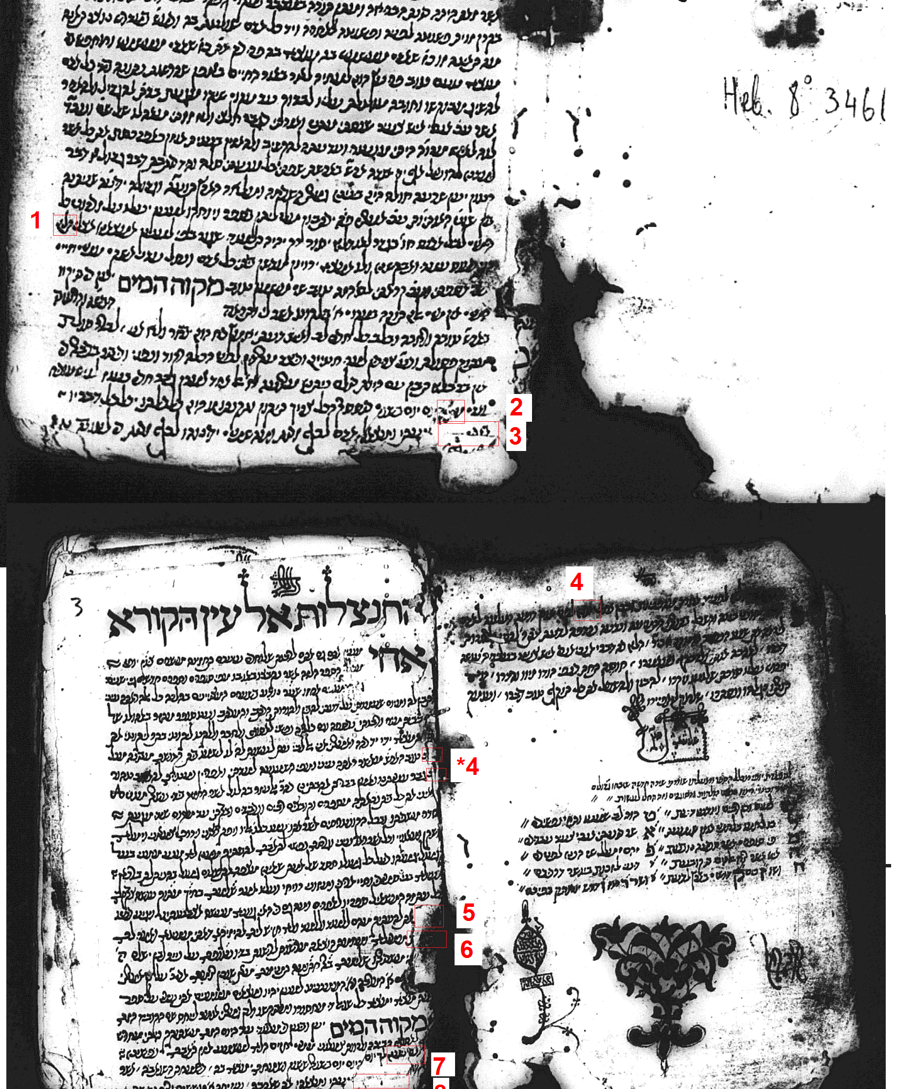 תיקון שגיאות מקוה המים.png