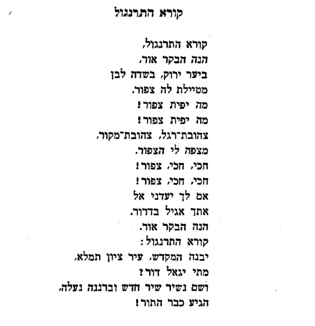 קאליב.PNG