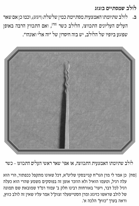 ‏‏לכידה.PNG