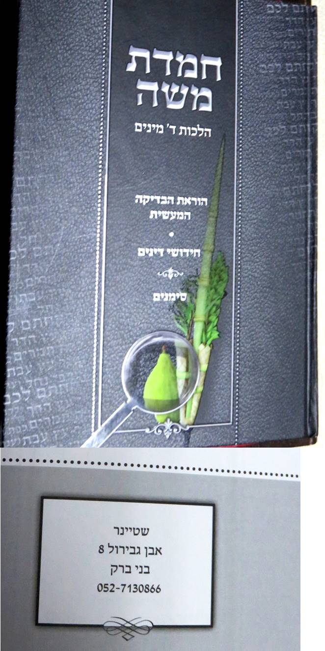 חמדת משה ד'מינים.jpg