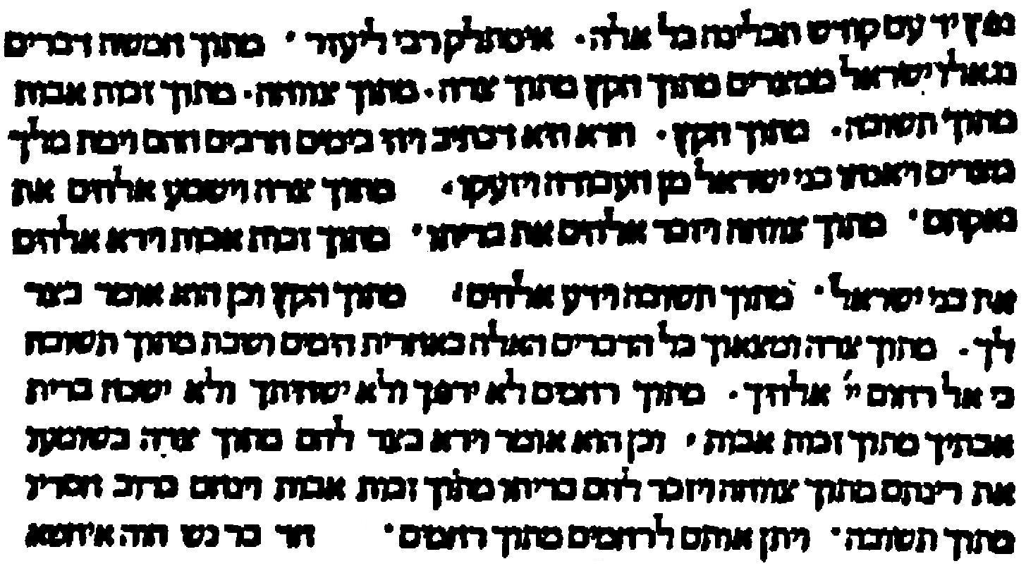 תמונה 2.jpg