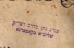 תמונה (74).jpg