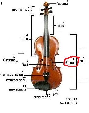 ViolinStructure.JPG