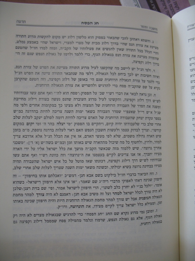 שילר (4).JPG