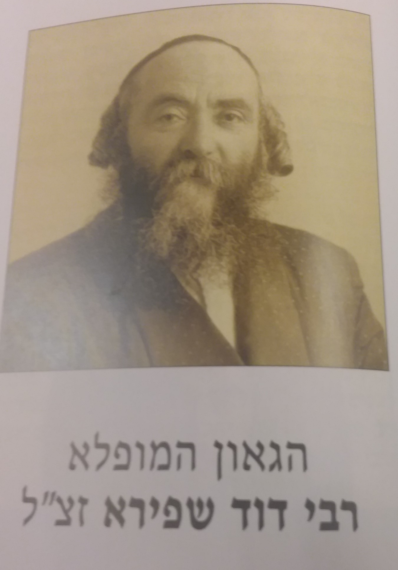 שפירא א.jpg