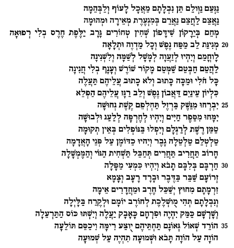 תתנם2.png