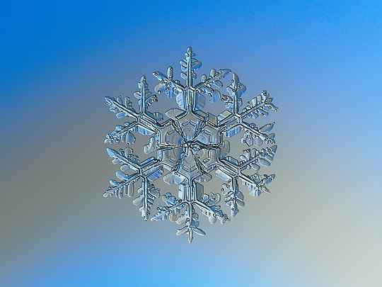 פתית שלג במיקרוסקוף  המכלול 2.jpg