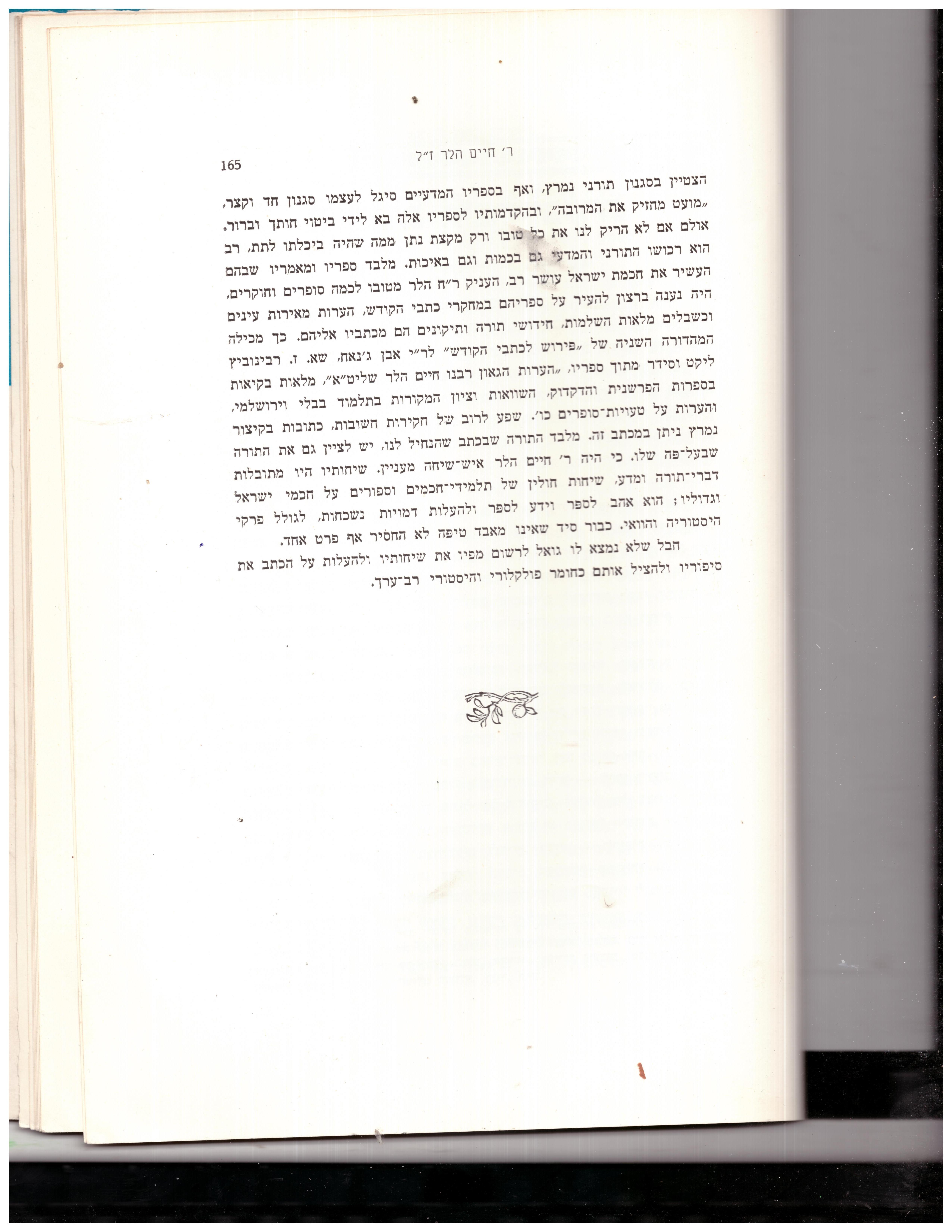 הלר.4.jpg