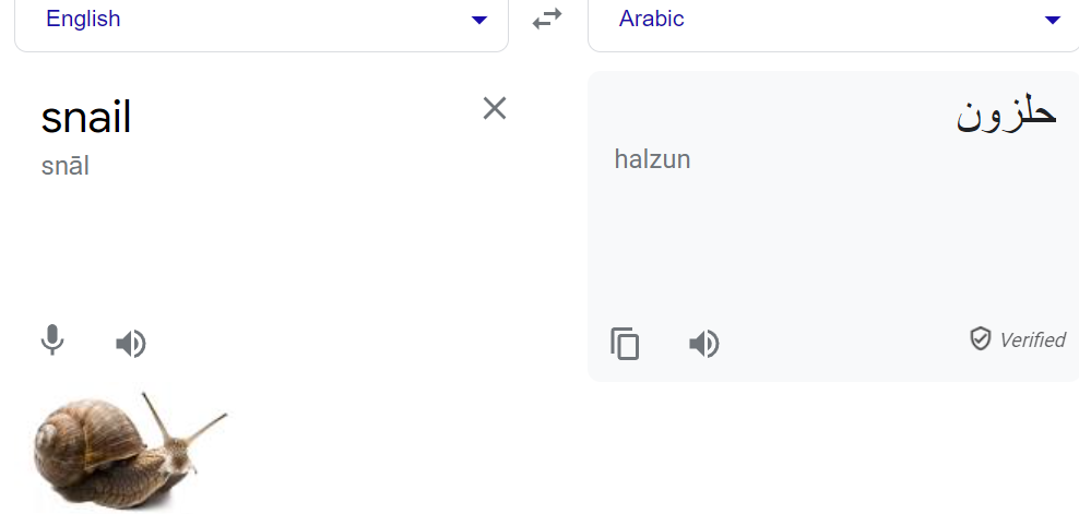 halzun.png