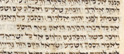 הורדה (5).png