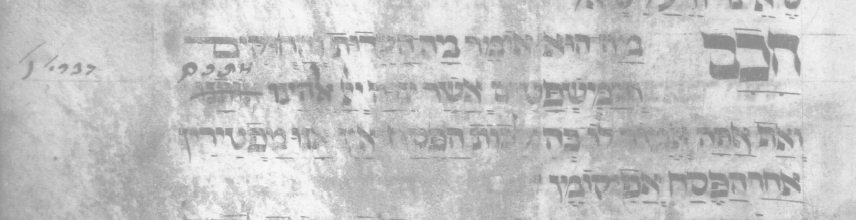 ניו יורק 4182_תוקן.png