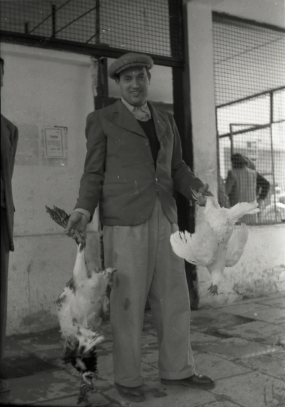 קונים תרנגולות בשוק, 1948.jpg