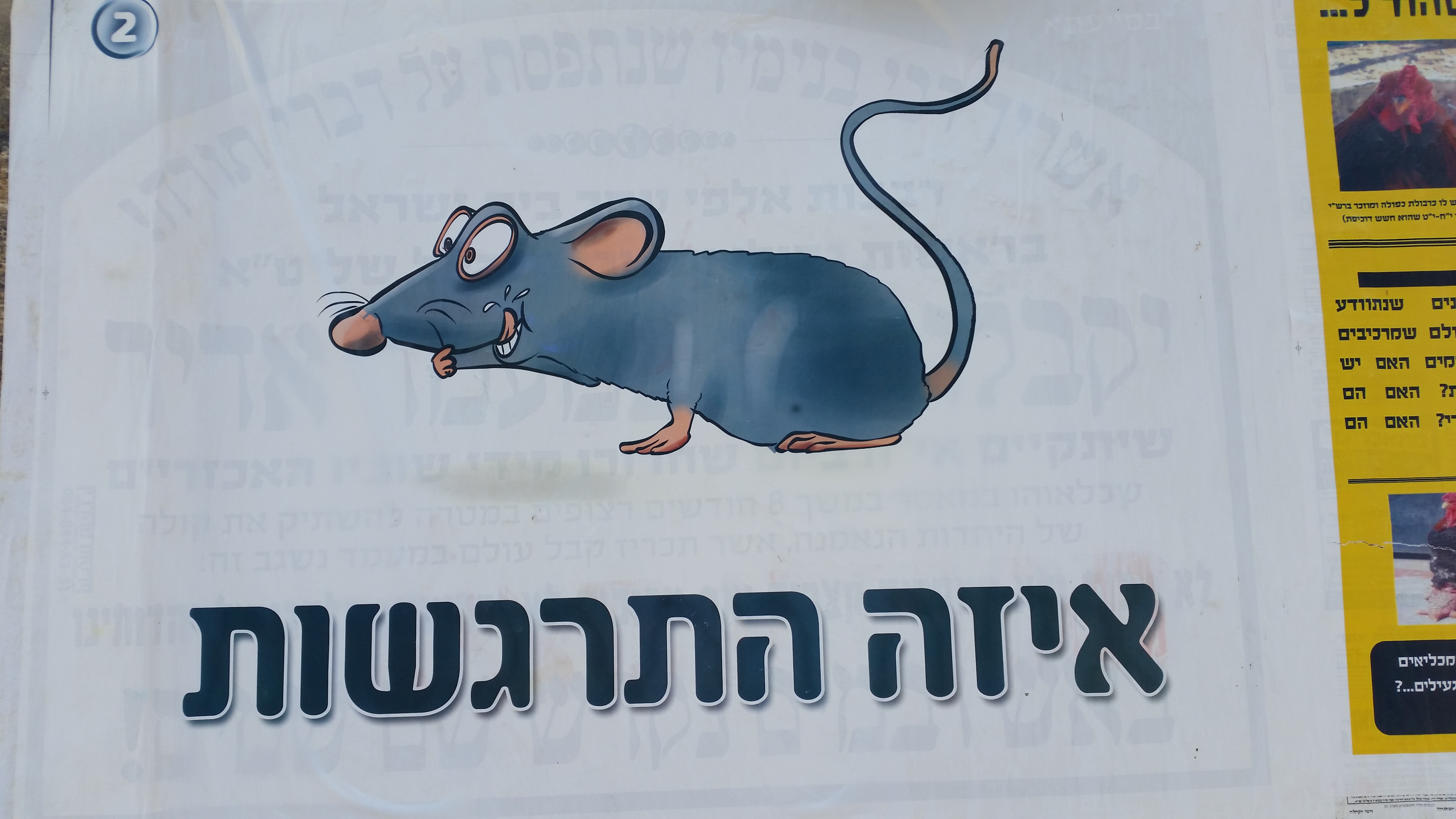 בילד