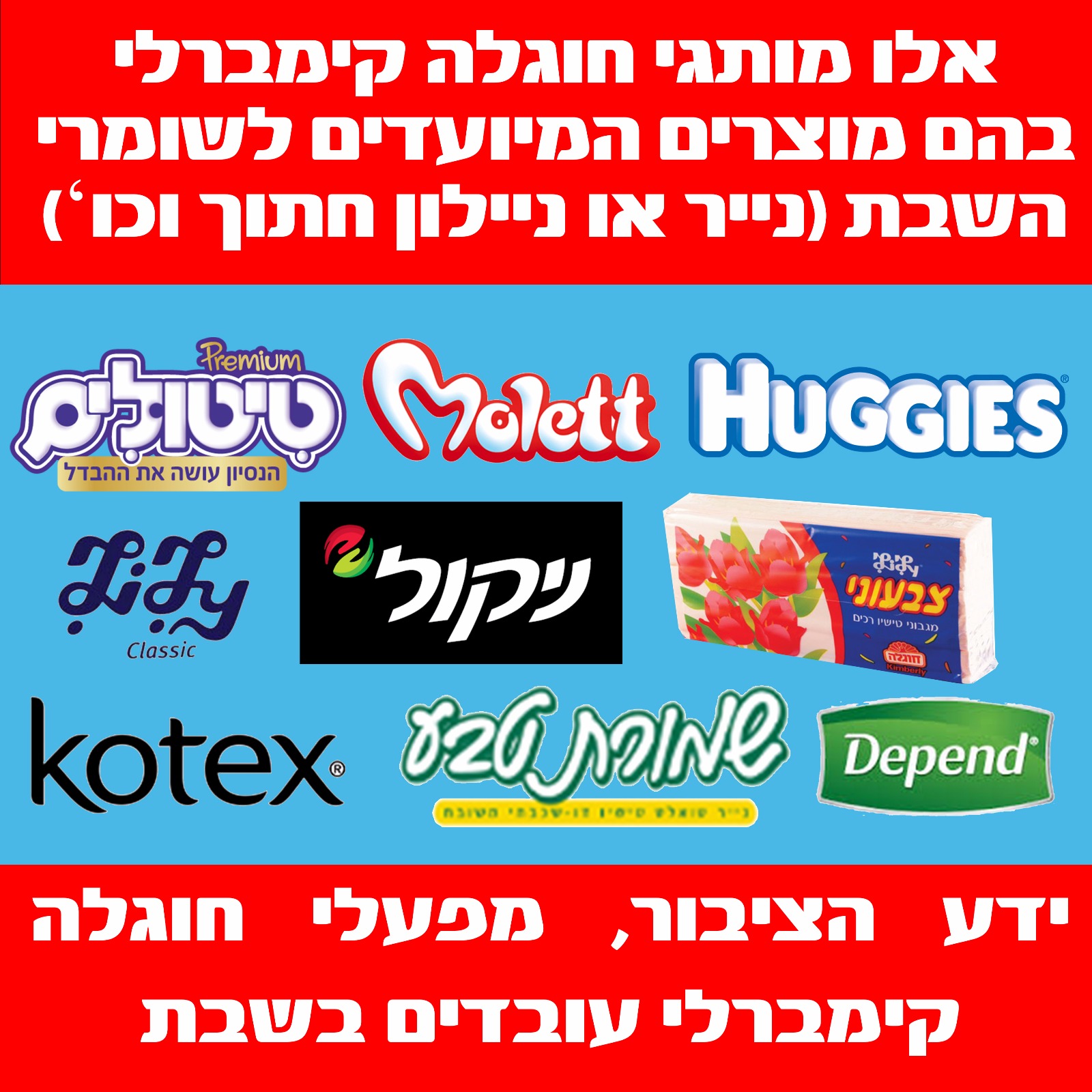 פלייר חוגלה.jpg