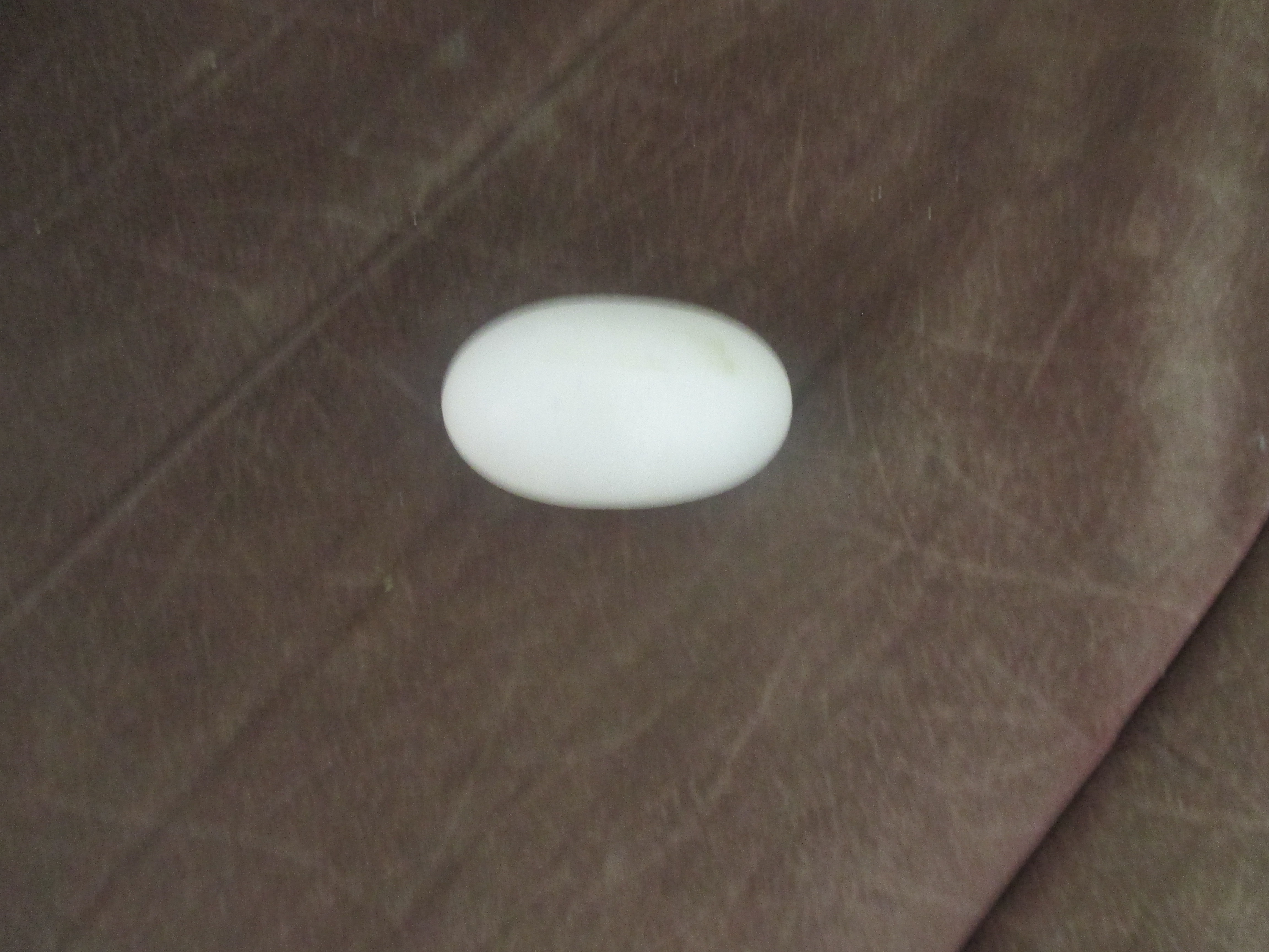 ביצים של תרנגולי פטם 6.jpg