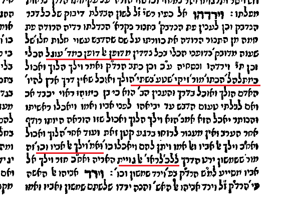 כלי יקר שופטים, עמ' קט ע''ב.PNG