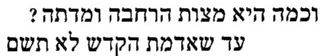 תשם2.JPG