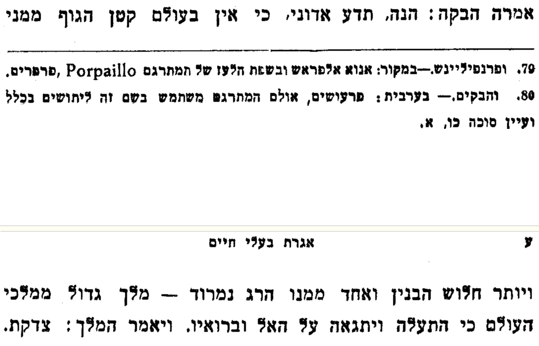 נמרוד 4.png