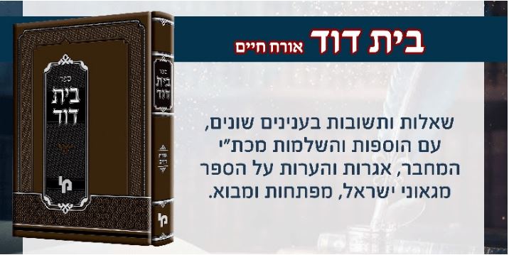 בית דוד.JPG